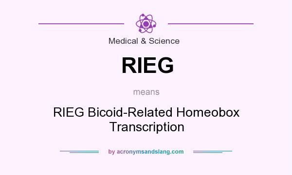 What does RIEG mean? It stands for RIEG Bicoid-Related Homeobox Transcription