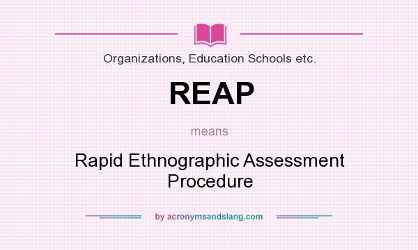 What does REAP mean? It stands for Rapid Ethnographic Assessment Procedure