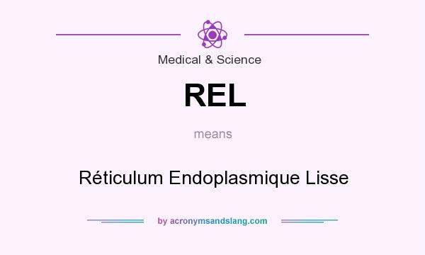 What does REL mean? It stands for Réticulum Endoplasmique Lisse