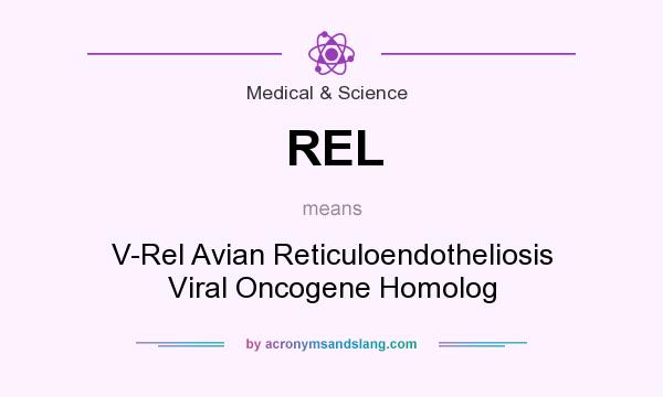 What does REL mean? It stands for V-Rel Avian Reticuloendotheliosis Viral Oncogene Homolog