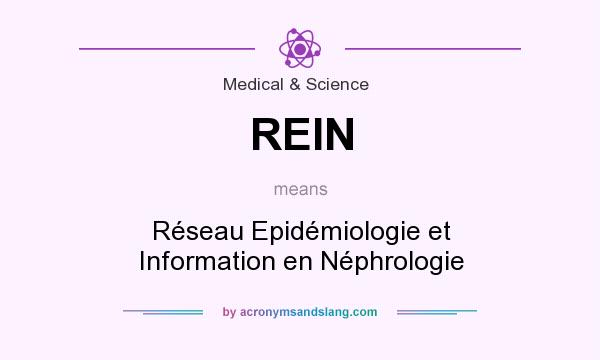 What does REIN mean? It stands for Réseau Epidémiologie et Information en Néphrologie