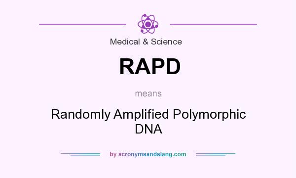 What does RAPD mean? It stands for Randomly Amplified Polymorphic DNA