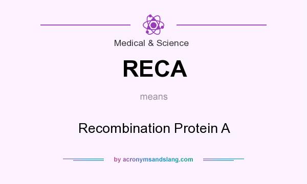 What does RECA mean? It stands for Recombination Protein A