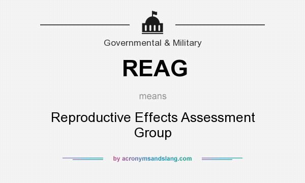 What does REAG mean? It stands for Reproductive Effects Assessment Group
