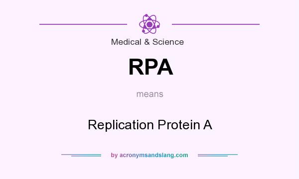 What does RPA mean? It stands for Replication Protein A