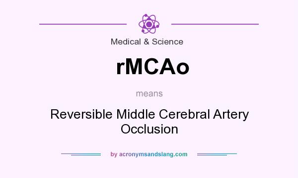 What does rMCAo mean? It stands for Reversible Middle Cerebral Artery Occlusion