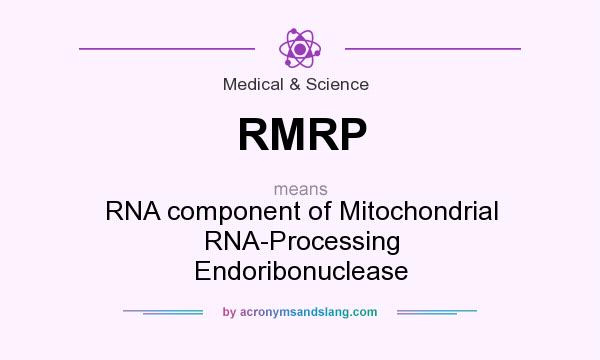 What does RMRP mean? It stands for RNA component of Mitochondrial RNA-Processing Endoribonuclease