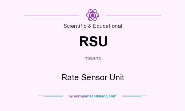 What does RSU mean? It stands for Rate Sensor Unit
