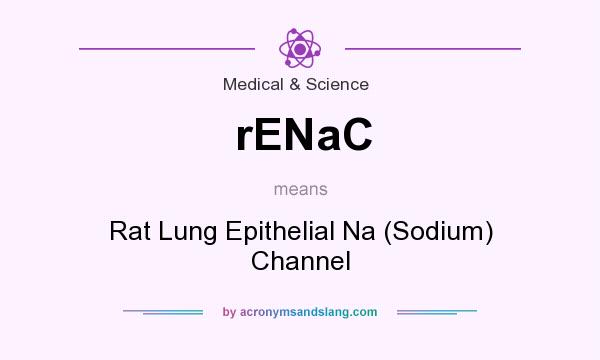 What does rENaC mean? It stands for Rat Lung Epithelial Na (Sodium) Channel