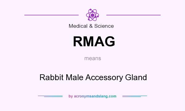 What does RMAG mean? It stands for Rabbit Male Accessory Gland