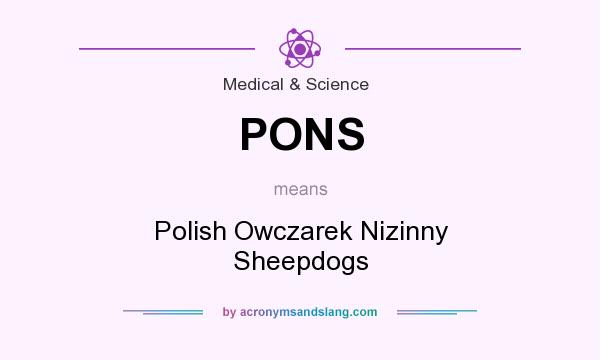 What does PONS mean? It stands for Polish Owczarek Nizinny Sheepdogs