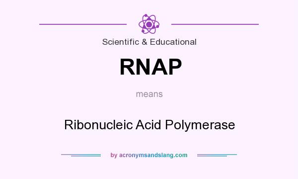 What does RNAP mean? It stands for Ribonucleic Acid Polymerase