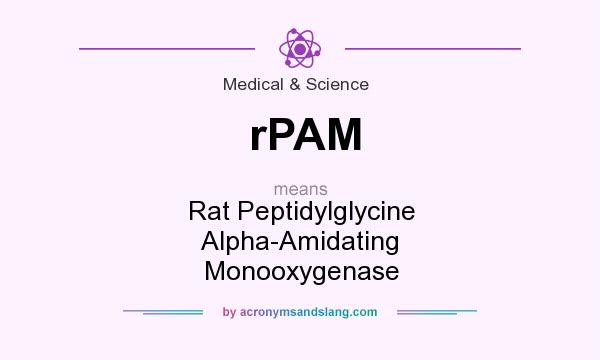 What does rPAM mean? It stands for Rat Peptidylglycine Alpha-Amidating Monooxygenase