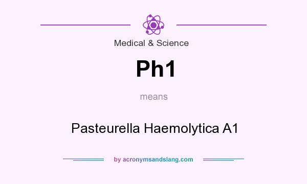 What does Ph1 mean? It stands for Pasteurella Haemolytica A1