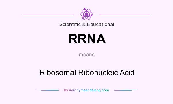 What does RRNA mean? It stands for Ribosomal Ribonucleic Acid