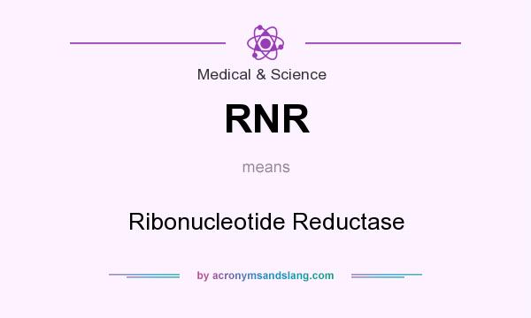 What does RNR mean? It stands for Ribonucleotide Reductase