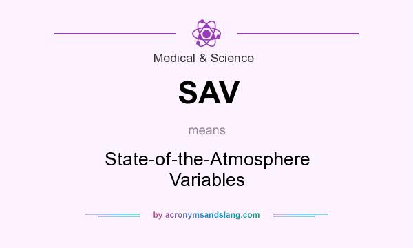 What does SAV mean? It stands for State-of-the-Atmosphere Variables