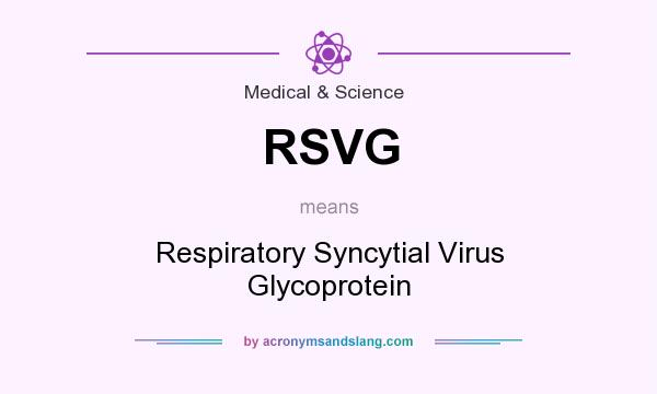 What does RSVG mean? It stands for Respiratory Syncytial Virus Glycoprotein