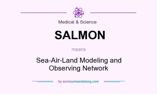 What does SALMON mean? It stands for Sea-Air-Land Modeling and Observing Network