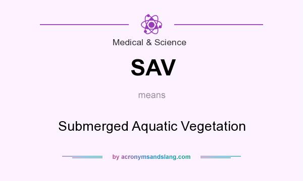 What does SAV mean? It stands for Submerged Aquatic Vegetation
