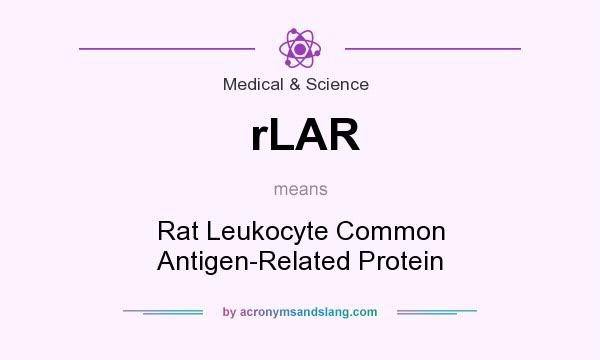 What does rLAR mean? It stands for Rat Leukocyte Common Antigen-Related Protein