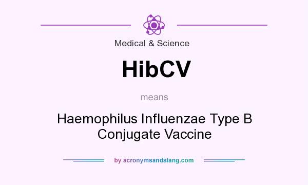 What does HibCV mean? It stands for Haemophilus Influenzae Type B Conjugate Vaccine