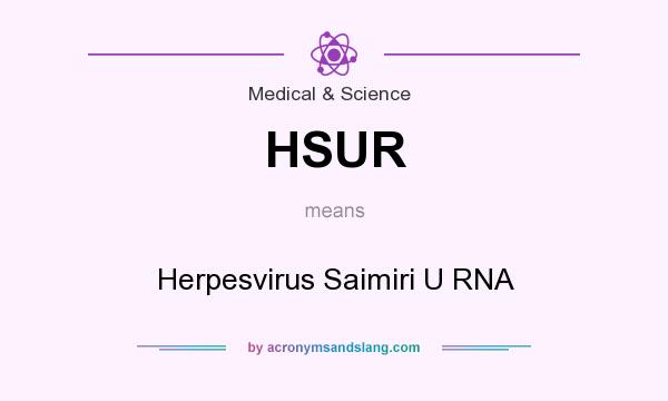 What does HSUR mean? It stands for Herpesvirus Saimiri U RNA