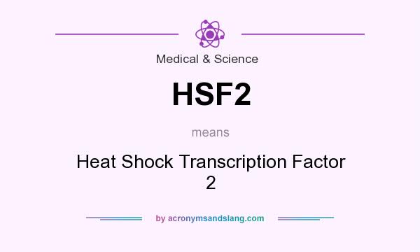 What does HSF2 mean? It stands for Heat Shock Transcription Factor 2