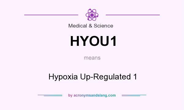 What does HYOU1 mean? It stands for Hypoxia Up-Regulated 1