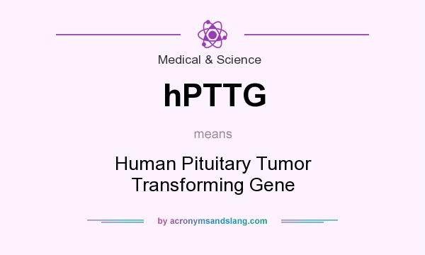 What does hPTTG mean? It stands for Human Pituitary Tumor Transforming Gene