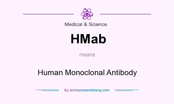 What does HMab mean? It stands for Human Monoclonal Antibody