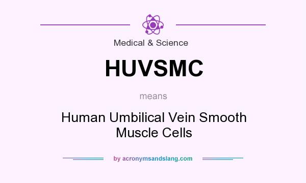 What does HUVSMC mean? It stands for Human Umbilical Vein Smooth Muscle Cells