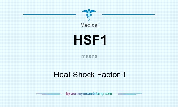 What does HSF1 mean? It stands for Heat Shock Factor-1
