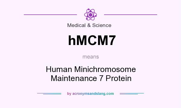 What does hMCM7 mean? It stands for Human Minichromosome Maintenance 7 Protein