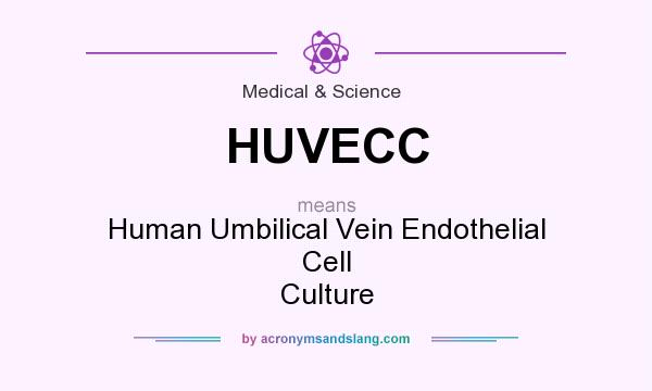 What does HUVECC mean? It stands for Human Umbilical Vein Endothelial Cell Culture