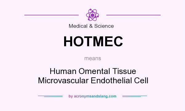 What does HOTMEC mean? It stands for Human Omental Tissue Microvascular Endothelial Cell