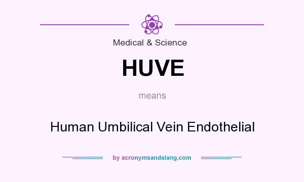 What does HUVE mean? It stands for Human Umbilical Vein Endothelial
