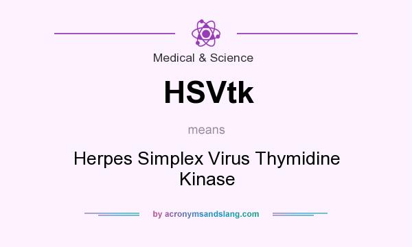 What does HSVtk mean? It stands for Herpes Simplex Virus Thymidine Kinase