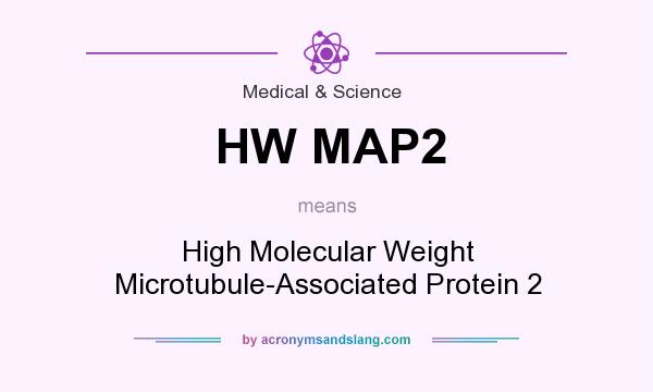 What does HW MAP2 mean? It stands for High Molecular Weight Microtubule-Associated Protein 2