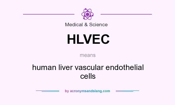 What does HLVEC mean? It stands for human liver vascular endothelial cells