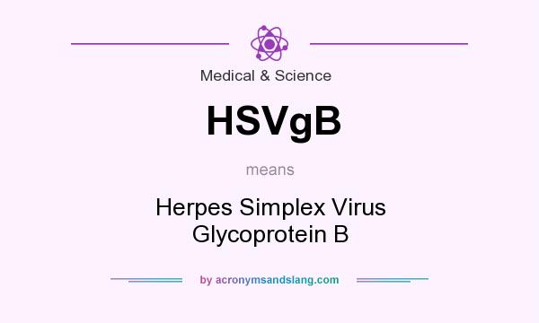 What does HSVgB mean? It stands for Herpes Simplex Virus Glycoprotein B