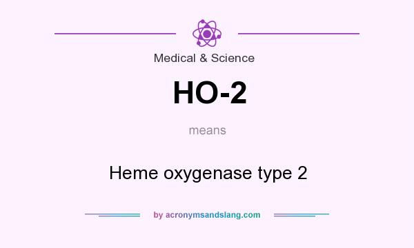 What does HO-2 mean? It stands for Heme oxygenase type 2