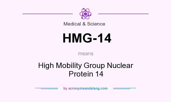 What does HMG-14 mean? It stands for High Mobility Group Nuclear Protein 14