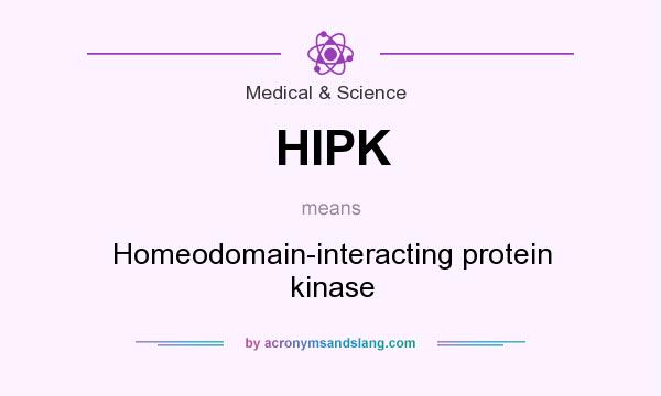 What does HIPK mean? It stands for Homeodomain-interacting protein kinase