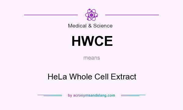 What does HWCE mean? It stands for HeLa Whole Cell Extract