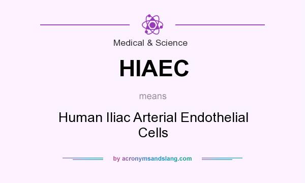What does HIAEC mean? It stands for Human Iliac Arterial Endothelial Cells