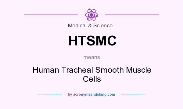 What does HTSMC mean? It stands for Human Tracheal Smooth Muscle Cells