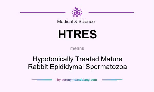 What does HTRES mean? It stands for Hypotonically Treated Mature Rabbit Epididymal Spermatozoa