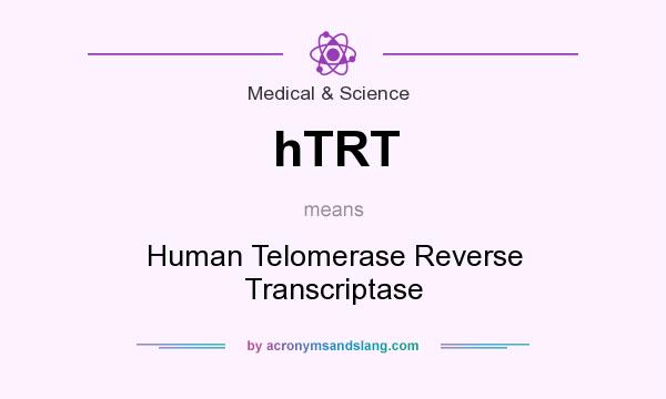 What does hTRT mean? It stands for Human Telomerase Reverse Transcriptase