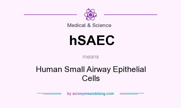 What does hSAEC mean? It stands for Human Small Airway Epithelial Cells